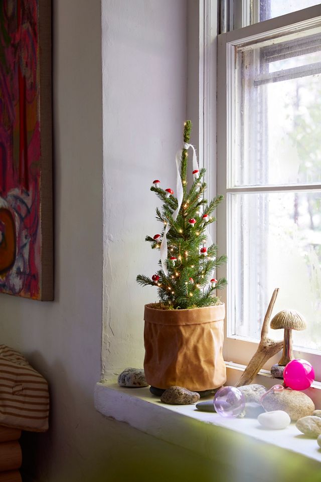 Little Living Tree #2