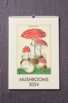 Mushrooms 2024 Wall Calendar AnthroLiving   86976818 000 B