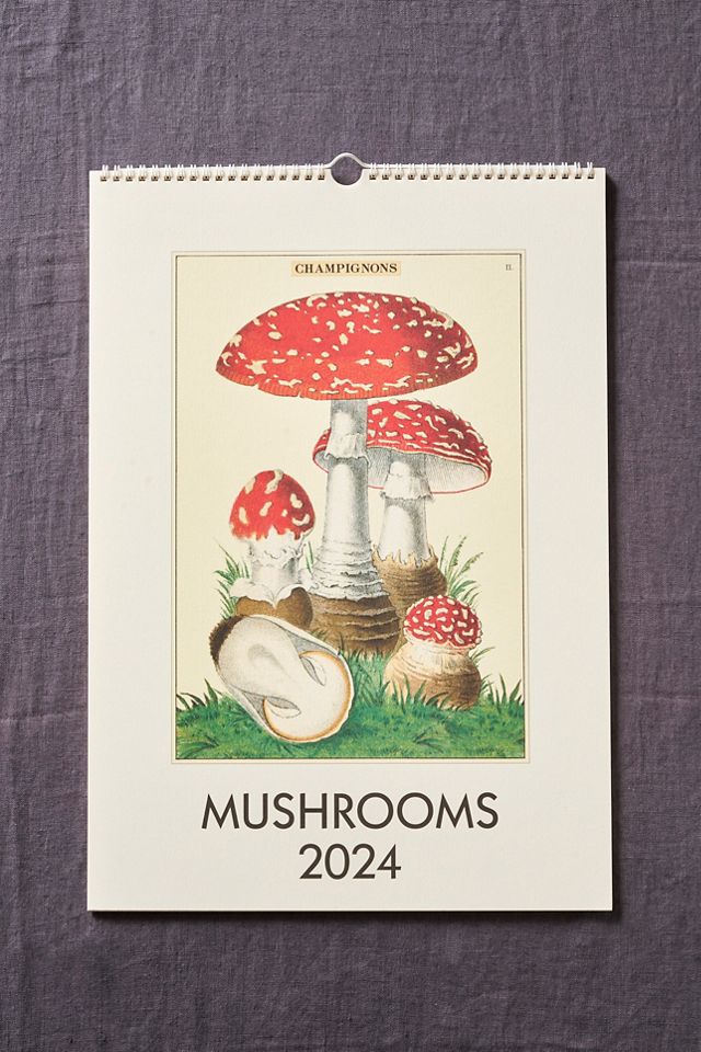 Mushrooms 2024 Wall Calendar Terrain