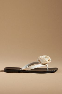 Jeffrey Campbell 3d Flower Thong Sandals In Black