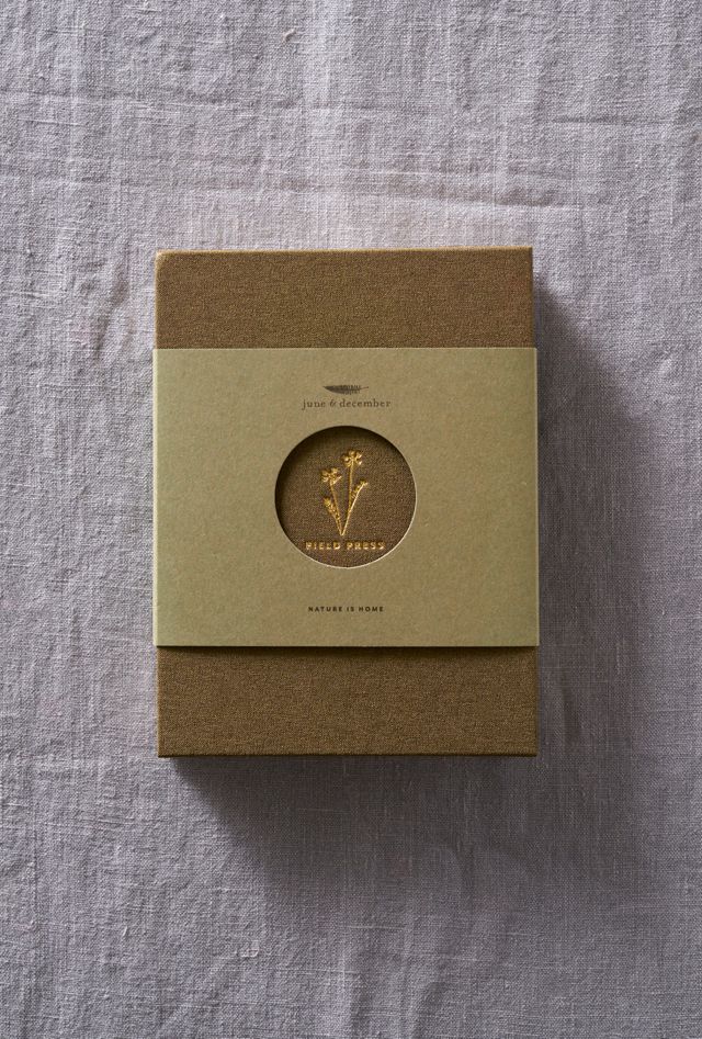 June & December Field Flower Press #1