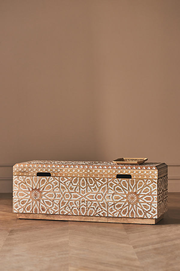 Anthropologie Albaron Trunk In Brown
