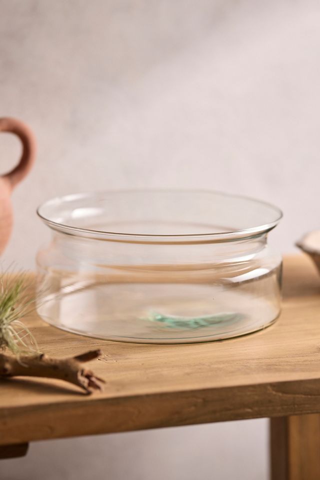 Recycled Glass Low Bowl Terrarium #2