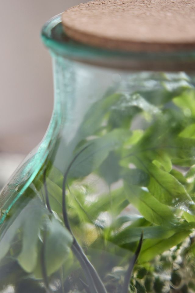 Recycled Glass Bulb Terrarium #1