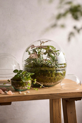 Terrain Recycled Glass Ball Terrarium In White