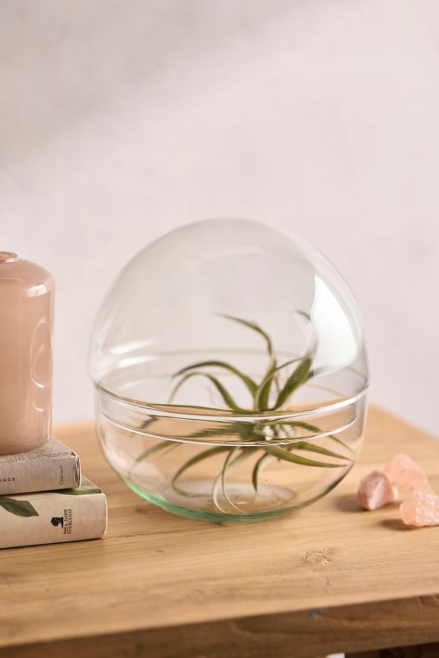 Recycled Glass Ball Terrarium | Terrain