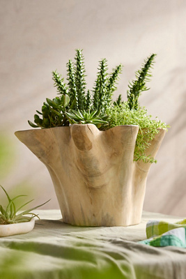 Terrain Teak Root Ruffled Bowl Planter