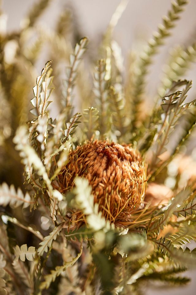 Dried Autumn Banksia Bunch #1