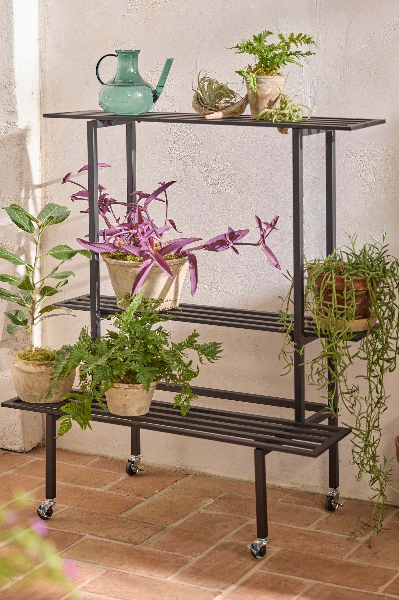 3-Tier Rolling Iron Plant Stand - Black, One Size