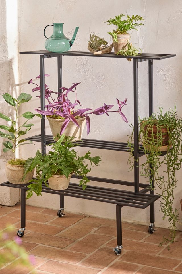 3-Tier Rolling Iron Plant Stand | AnthroLiving