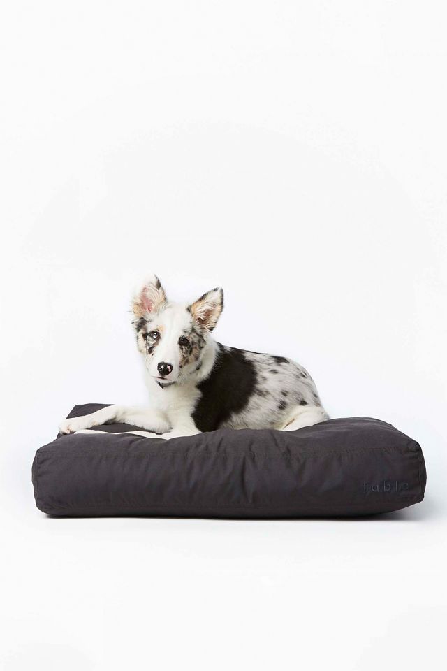 Fable Pets Signature Bed AnthroLiving