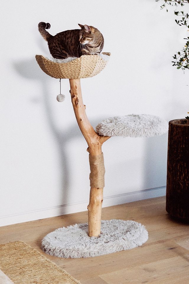 Good looking hotsell cat tree