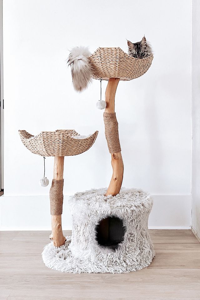 Cat tree sale art