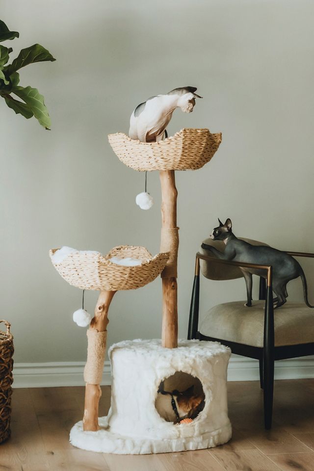 Mau Pet Cento Cat Tree #1