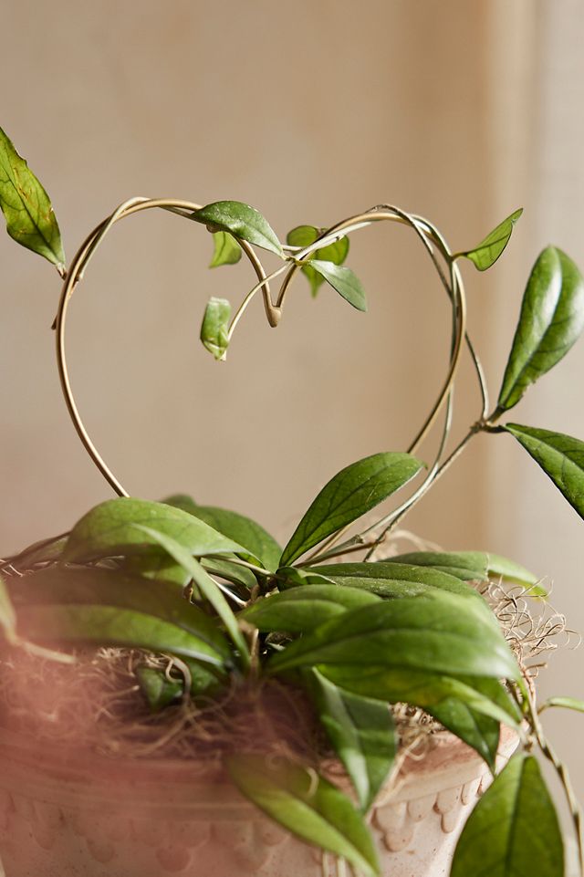 Brass Heart Trellis #1