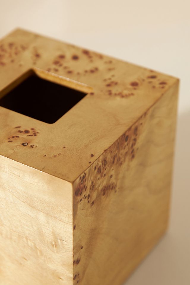 Mesa Tissue Holder #1