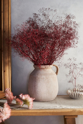 Terrain Dried Gypsophila Bunch In Neutral