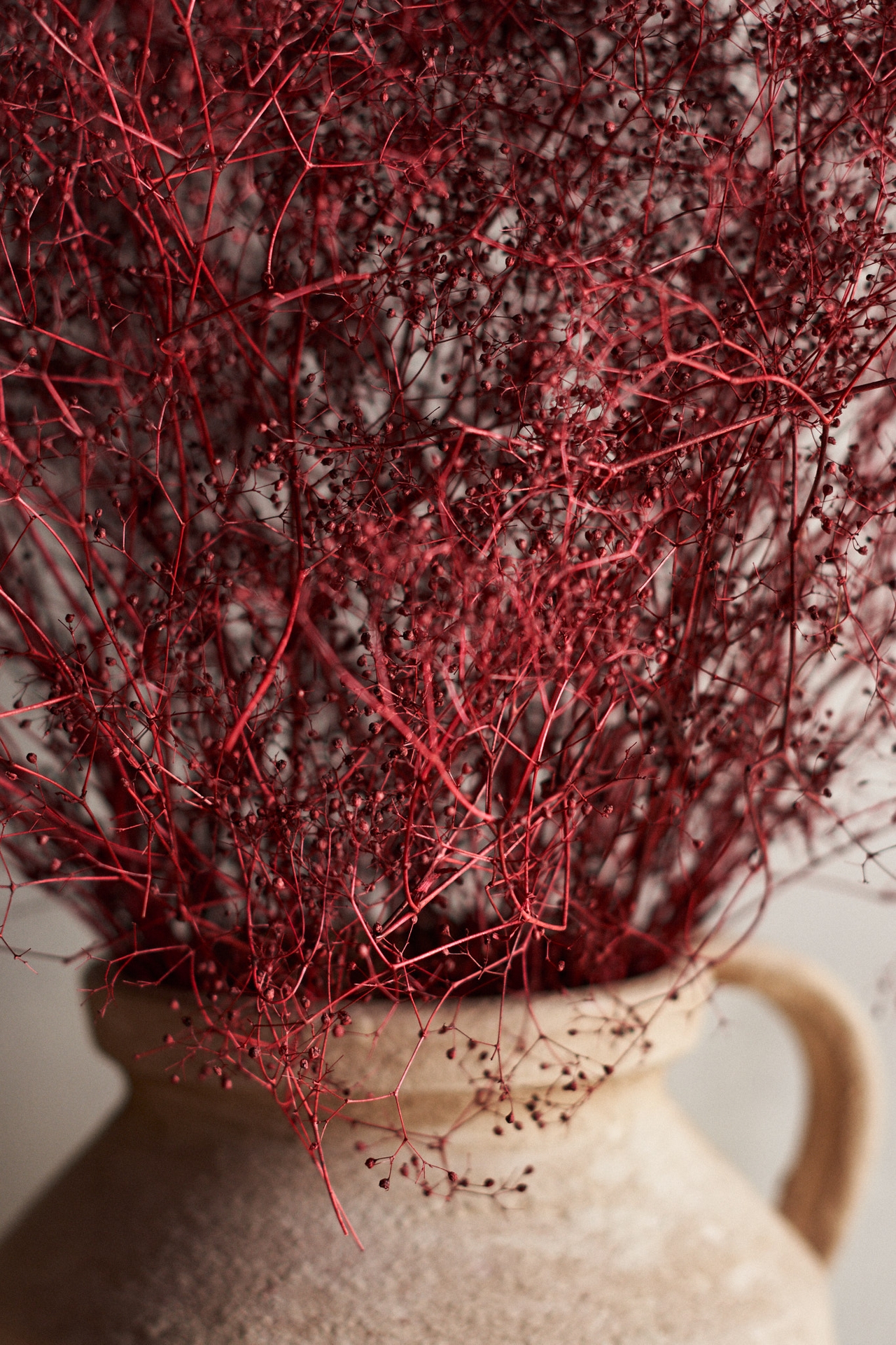 Dried Gypsophila Bunch