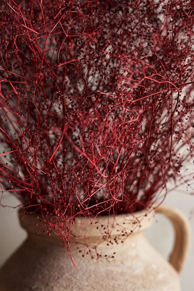 Dried Gypsophila Bunch #1