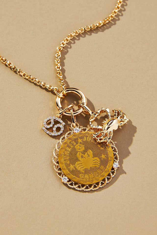 Anthropologie 2025 charm necklace