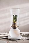Frosted Glass Bulb Vase #1