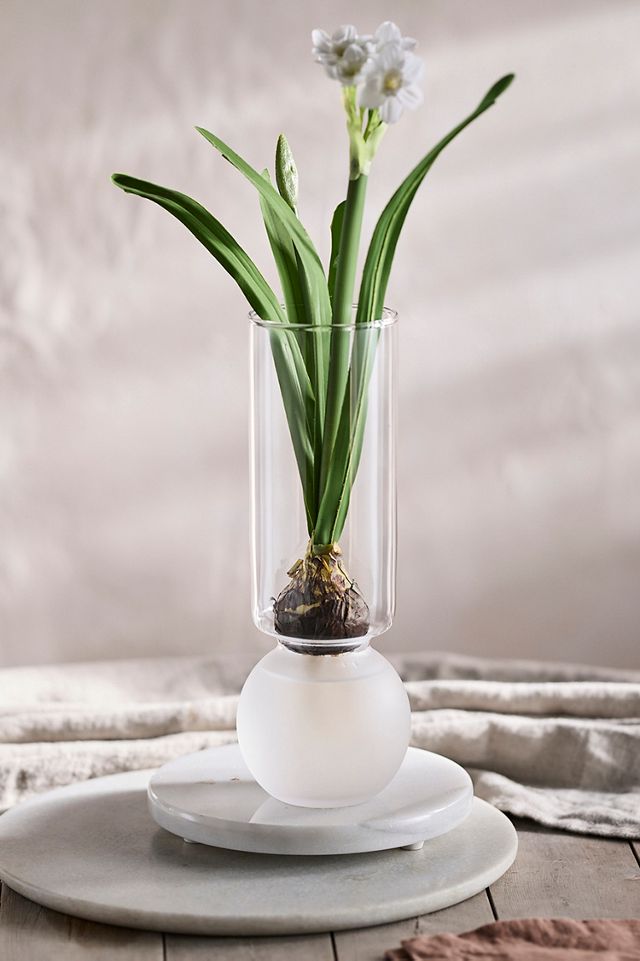 Frosted Glass Bulb Vase #2