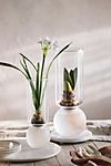 Frosted Glass Bulb Vase