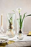 Recycled Glass Cylinder Bulb Vase
