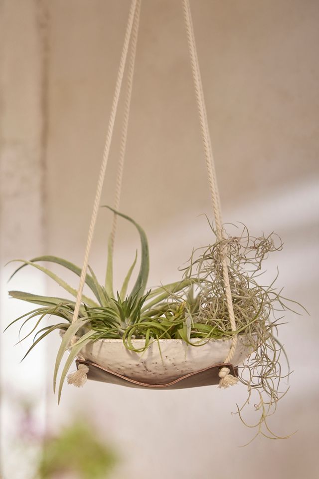 Leather Plant Hanger #1