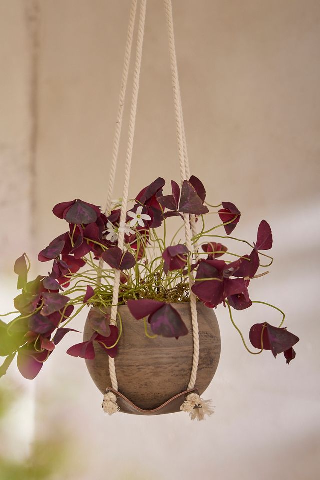 Leather Plant Hanger #3