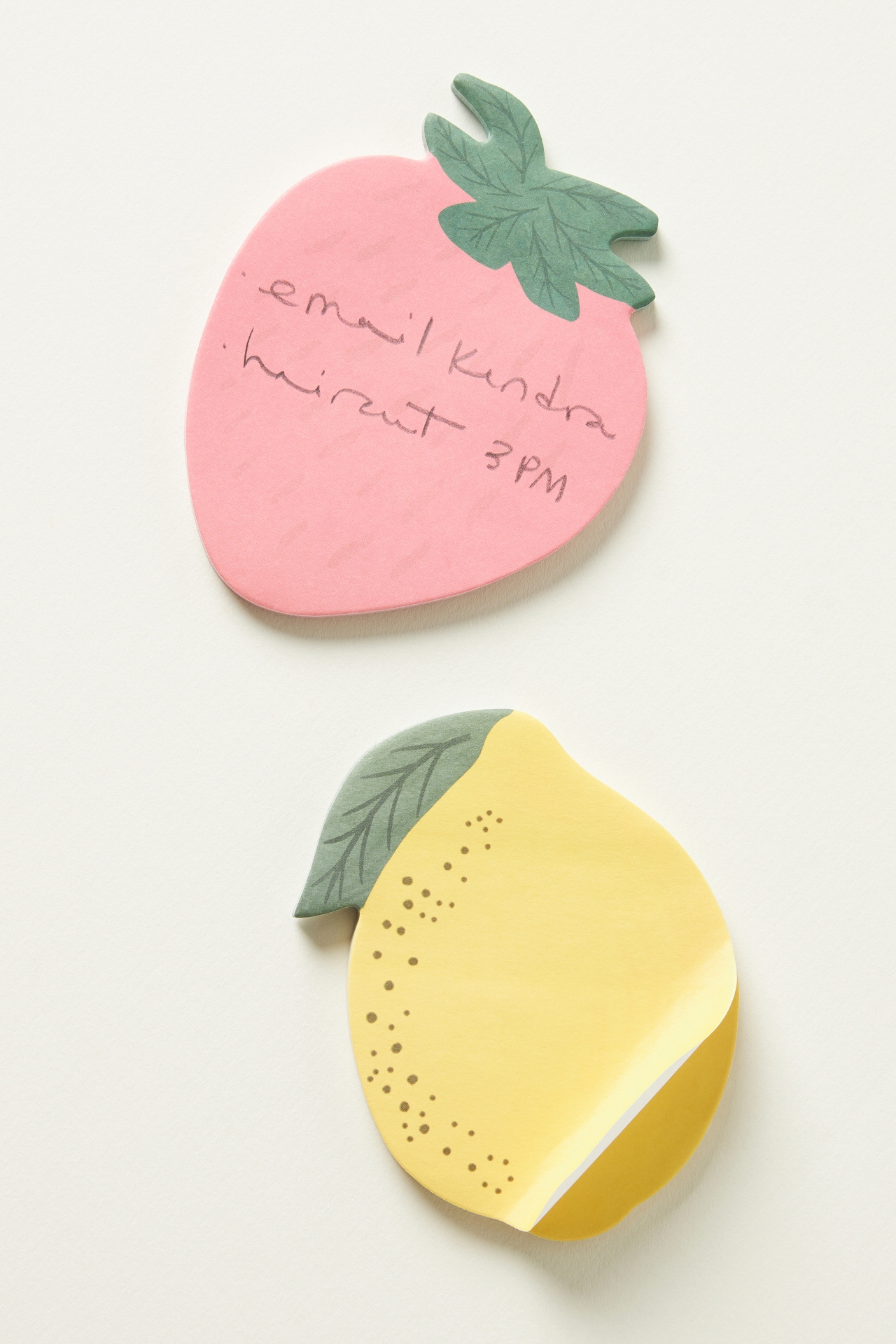 Rifle Paper Co. Fruit Sticky Notes