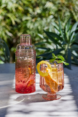 Lucia Acrylic Cocktail Shaker | AnthroHome