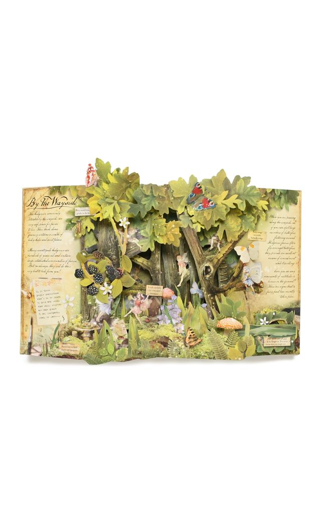 How To Find Flower Fairies: Discover An Enchanted Fairy