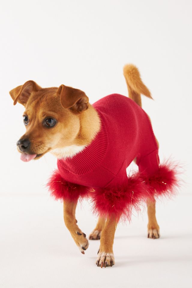 Maxbone Festive Feather Dog Onesie #1