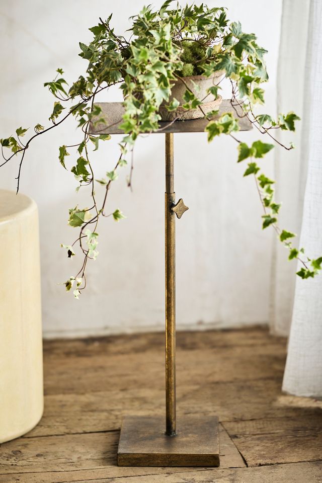Adjustable Iron Plant Stand #1