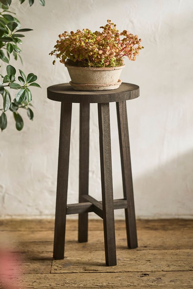 Black Wood Plant Stand #3