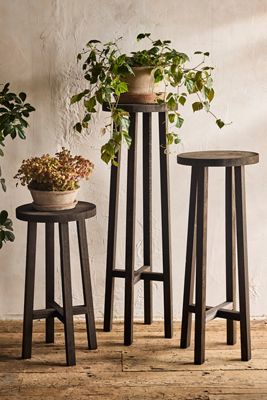 Black Wood Plant Stand