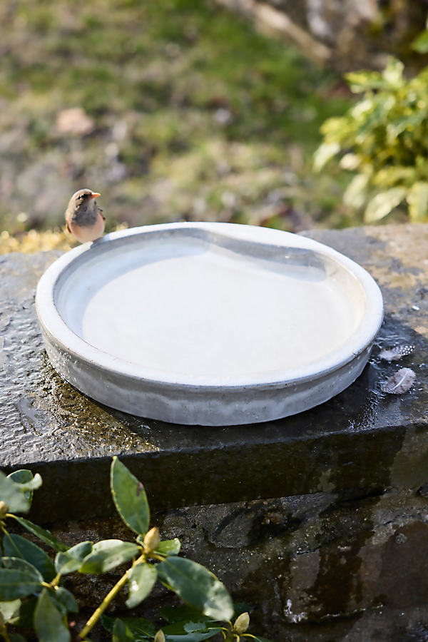 Terrain Stoneware Plate Bird Bath In Animal Print