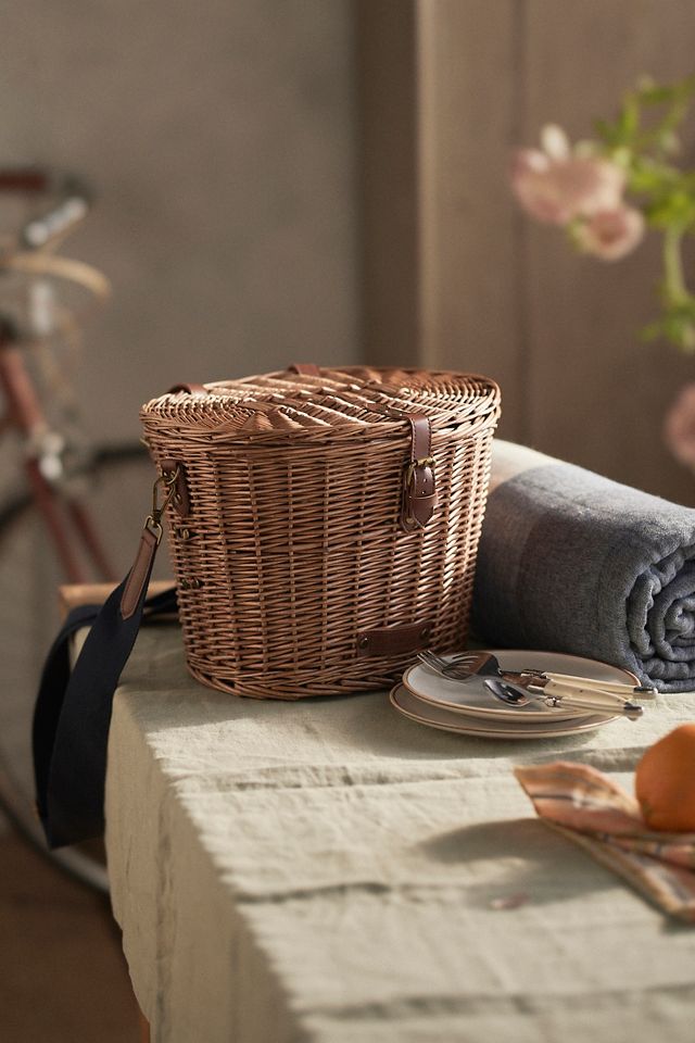 Anthropologie bike basket sale