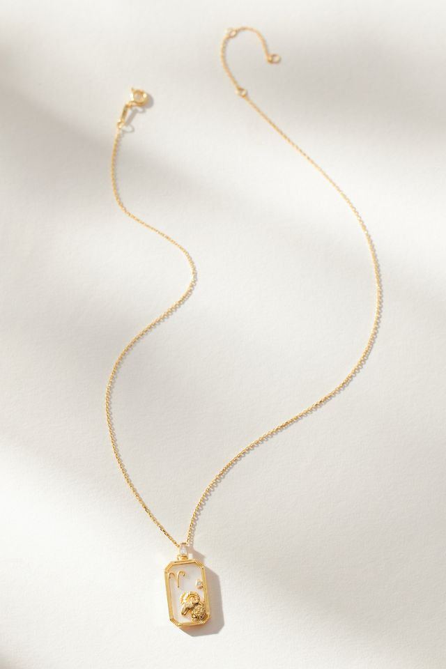 Enamel Zodiac Necklace #1