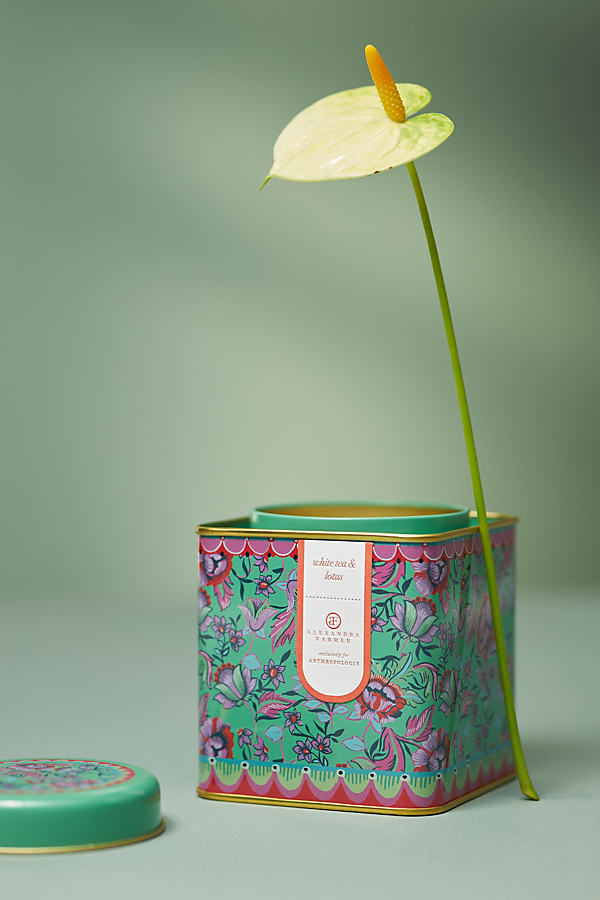 Alexandra Farmer The Flock Fresh White Tea & Lotus Tin Candle In Multi