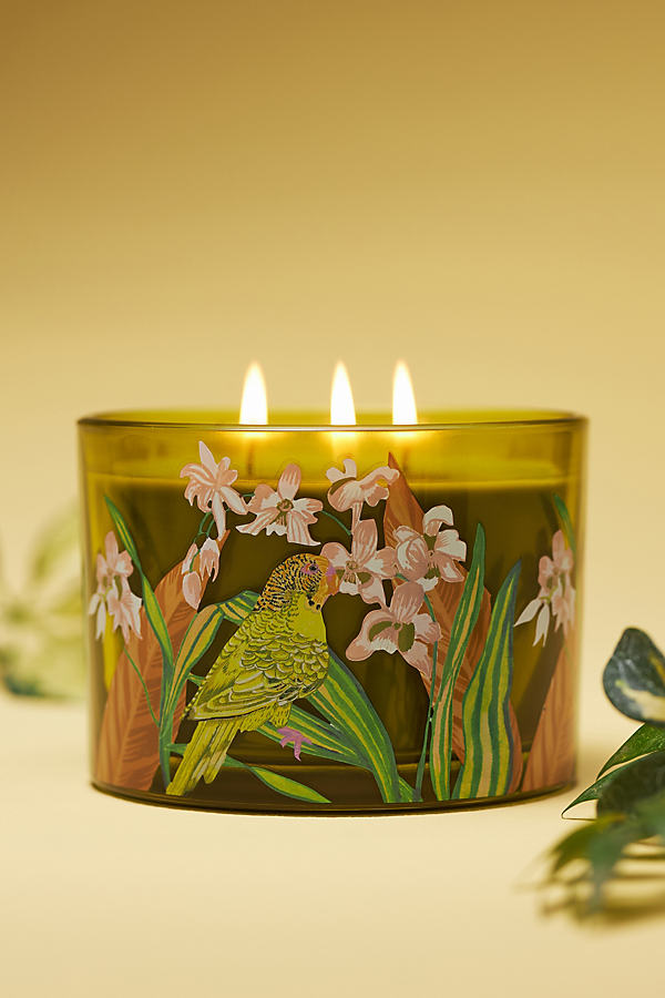 Shop Anthropologie Aria Fresh Hibiscus & Pink Guava Glass Candle