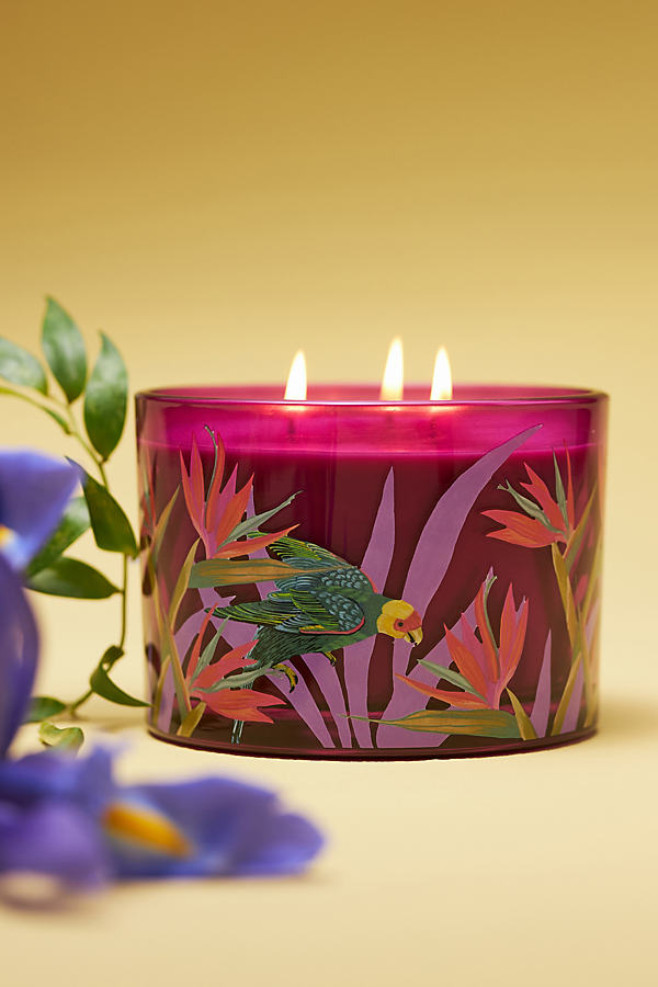 Shop Anthropologie Aria Fruity Lychee & Pink Dragon Fruit Glass Candle