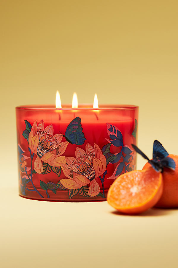 Shop Anthropologie Aria Fruity White Amber Mandarin Glass Candle
