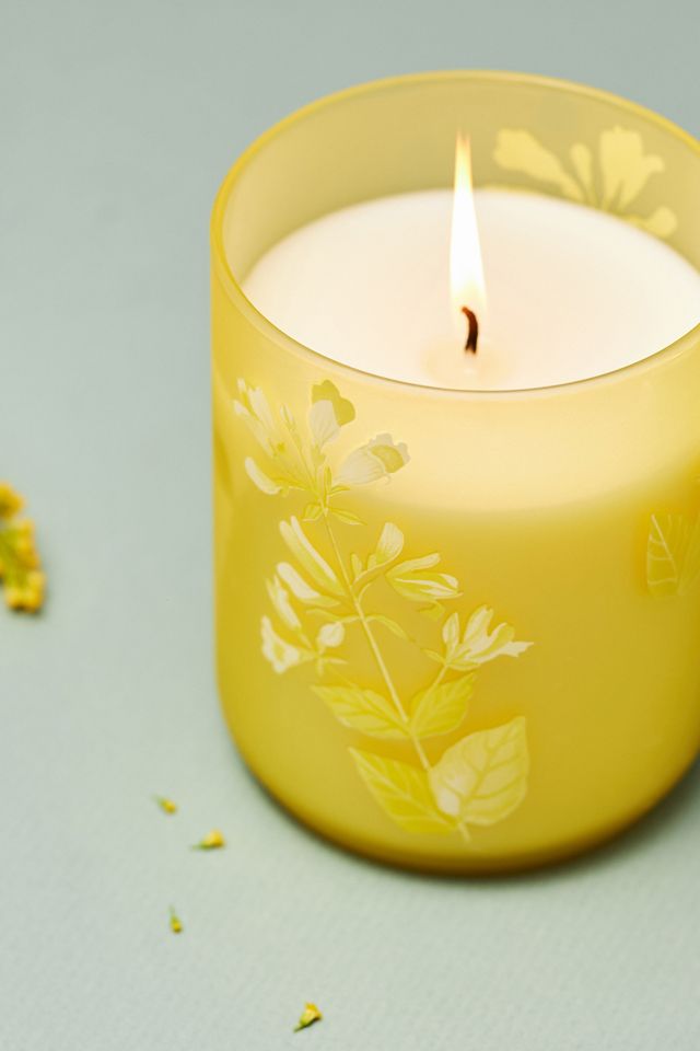 Eloise Fresh White Tea & Lotus Floral Boxed Candle #1