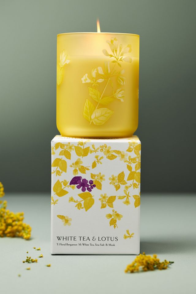 Eloise Fresh White Tea & Lotus Floral Boxed Candle #2