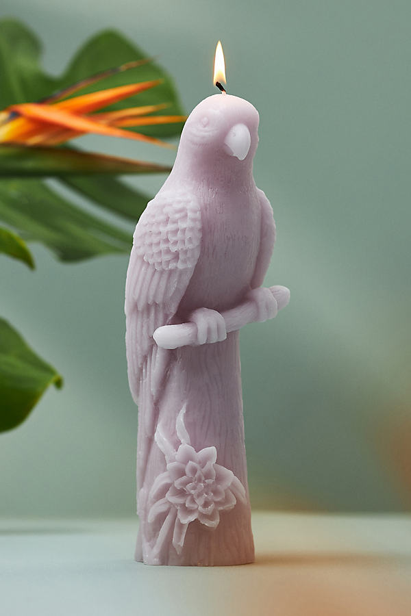 Shop Anthropologie Vera Parrot Shaped Wax Candle