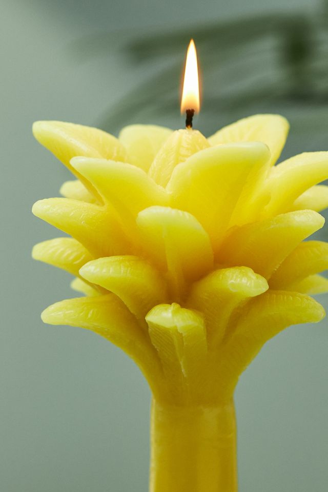 Vela de Cera en Forma de Palmera Vera #1