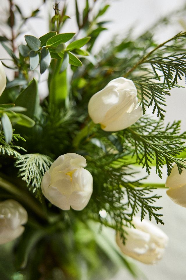 Fresh Tulip, Cedar + Eucalyptus Bouquet #1