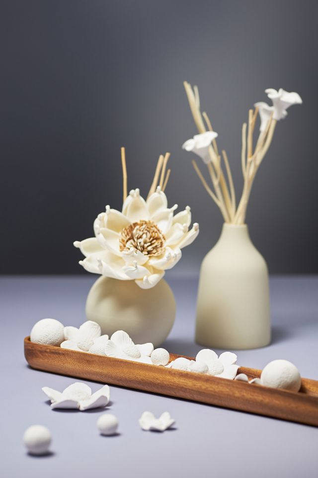 Daisy Sculptural Diffuser Set #1